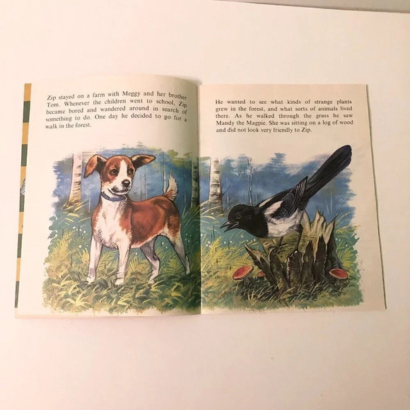 Vtg Zip and the Hedgehog Infant Series Book Robert Dallet Corlia - Picture 6 of 15